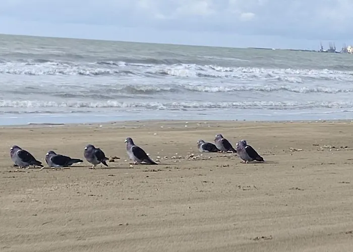 Beko - With Sea View In * Durrës
